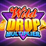wild-multiplier-capital303